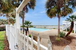 The Green Palm